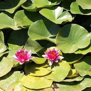 Meet your Posher, Slc